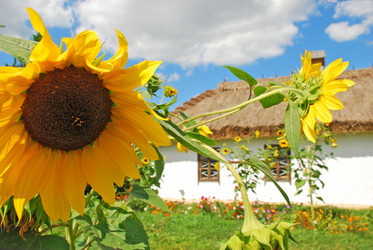 Similar image 670741