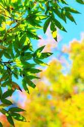 Similar image 670754