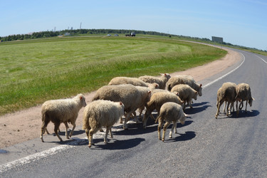 Similar image 670755