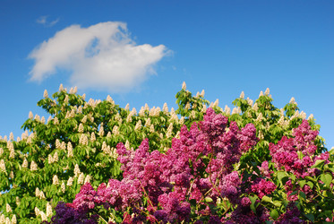 Similar image 670779