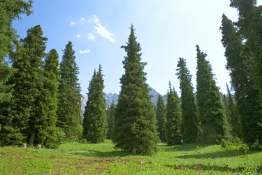 Similar image 670787