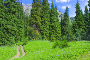 Similar image 670788