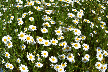 Similar image 670795