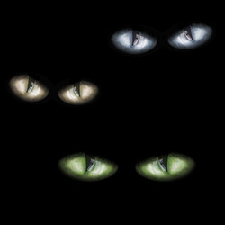 Similar image 670806