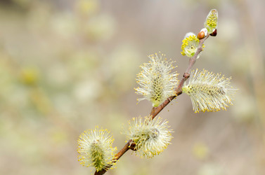 Similar image 670830