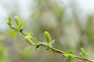 Similar image 670832