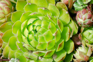 Similar image 670854