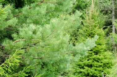 Similar image 670857