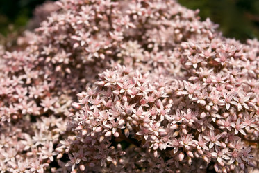 Similar image 670858