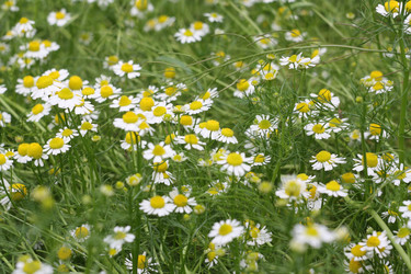 Similar image 670859