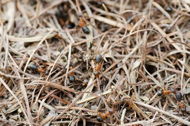 Similar image 670889