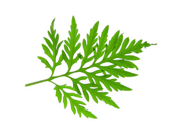 Similar image 670890