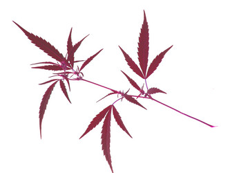 Similar image 670891