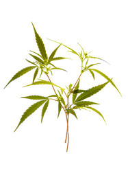 Similar image 670895