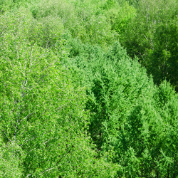 Similar image 670901