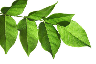 Similar image 670907