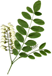 Similar image 670912