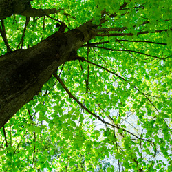 Similar image 670915