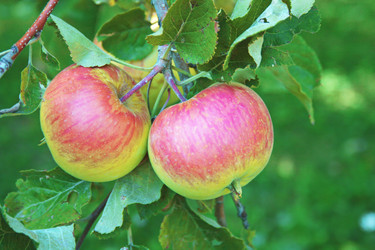 Similar image 670922