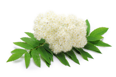 Similar image 670932