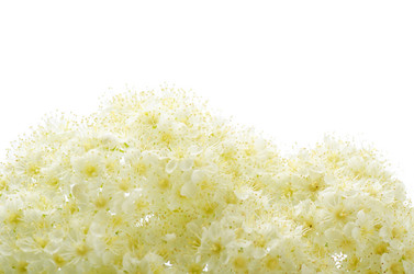 Similar image 670933