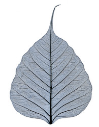 Similar image 670942