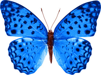 Similar image 670945