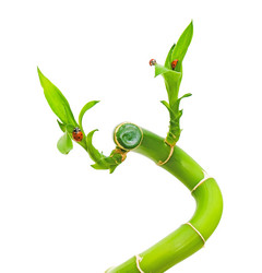 Similar image 670967