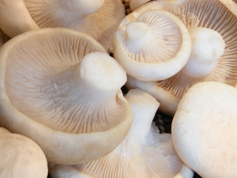 Similar image 670975