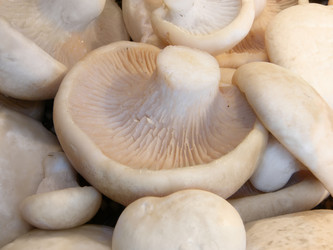 Similar image 670976