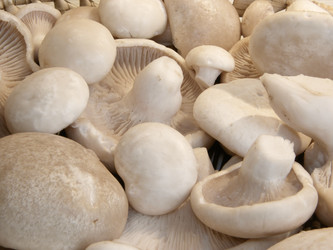 Similar image 670977