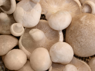 Similar image 670978