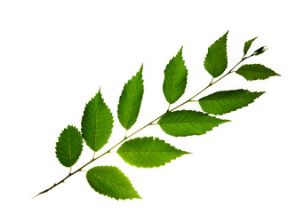 Similar image 671054