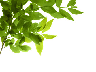 Similar image 671056