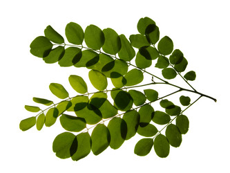 Similar image 671057