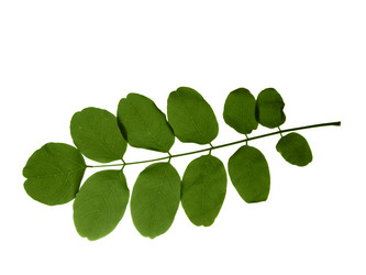 Similar image 671058