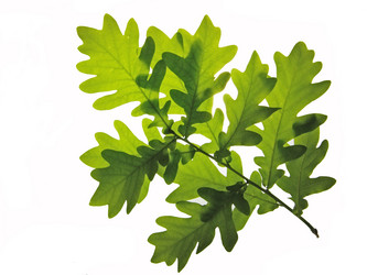 Similar image 671060