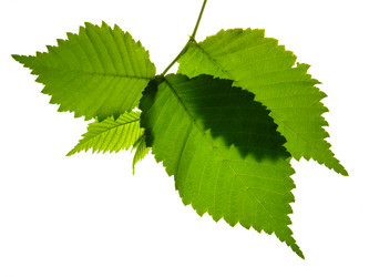 Similar image 671063