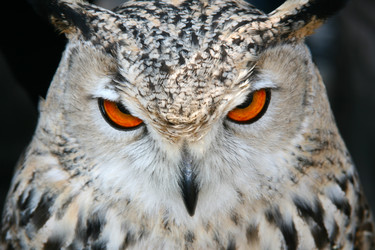 Similar image 671065