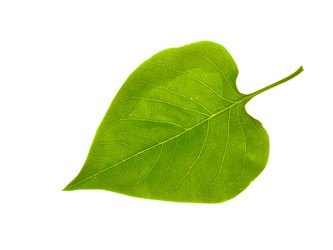 Similar image 671067