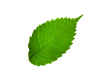 Similar image 671068