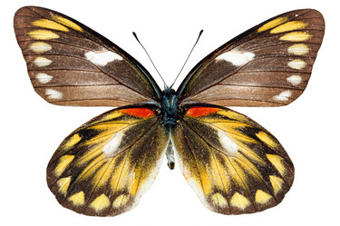 Similar image 671078