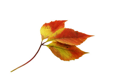 Similar image 671111