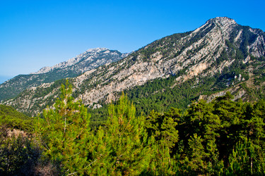 Similar image 671134