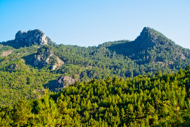 Similar image 671135