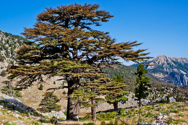 Similar image 671138