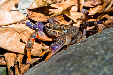 Similar image 671181