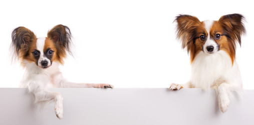 Similar image 671182