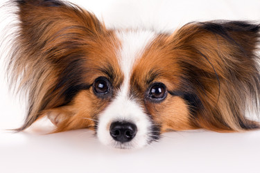 Similar image 671184