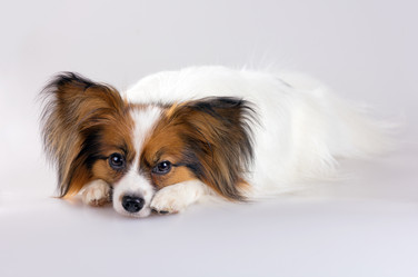 Similar image 671187